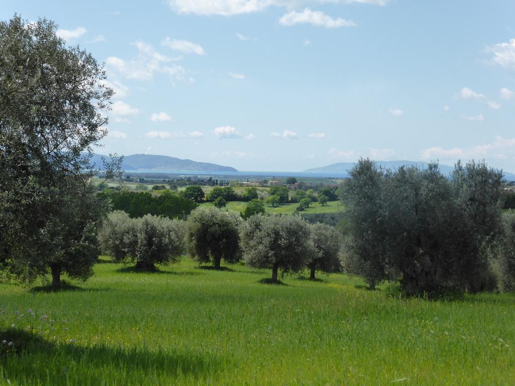 Campospillo Villa Magliano in Toscana Buitenkant foto