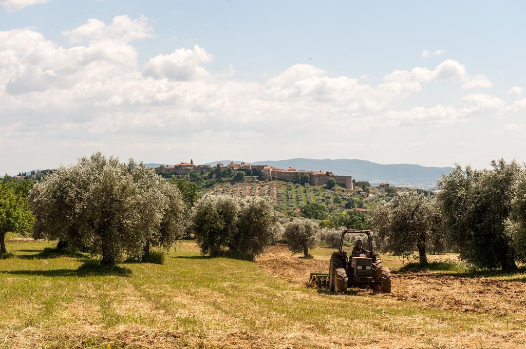 Campospillo Villa Magliano in Toscana Buitenkant foto